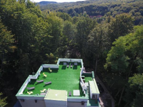  Former Ceausescu's Vila Crizantema  Вайле Говора